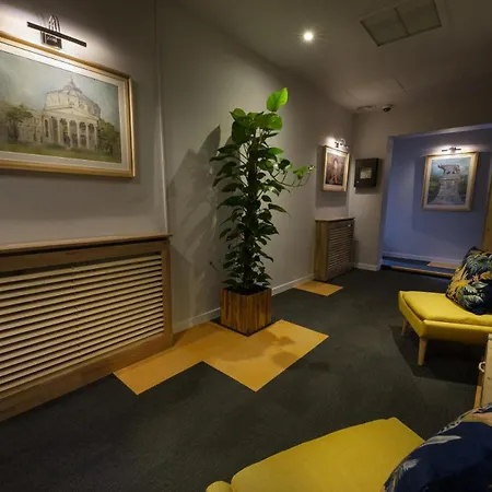 Rainforest Downtown By Pretty *