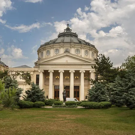 Rainforest Downtown By Pretty Apartament *