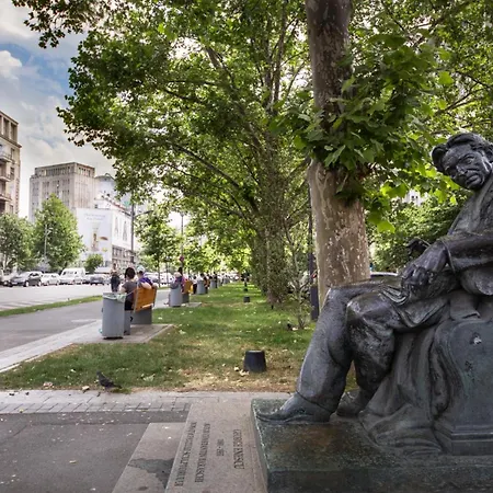 Rainforest Downtown By Pretty *