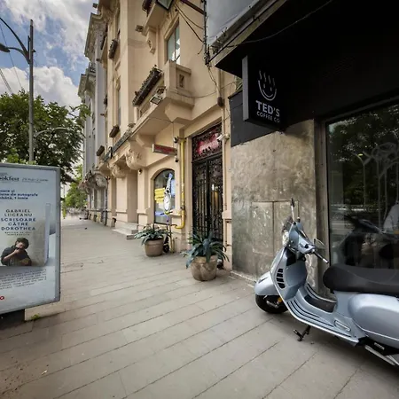 Rainforest Downtown By Pretty