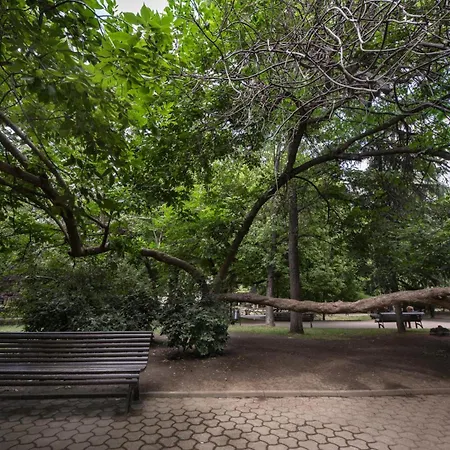 Rainforest Downtown By Pretty Apartment