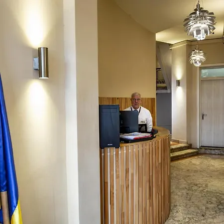 Rainforest Downtown By Pretty *