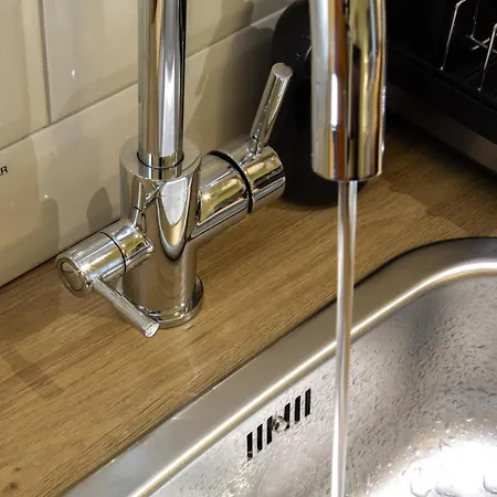 Rainforest Downtown By Pretty *