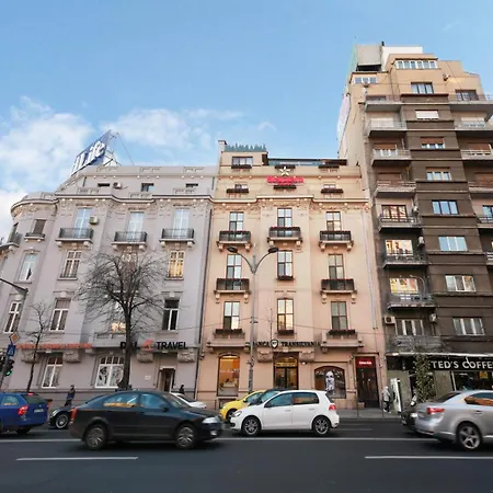 Rainforest Downtown By Pretty