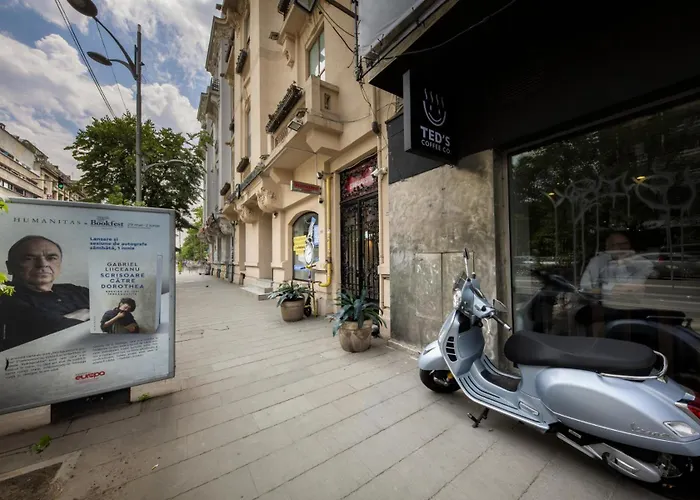 Rainforest Downtown By Pretty