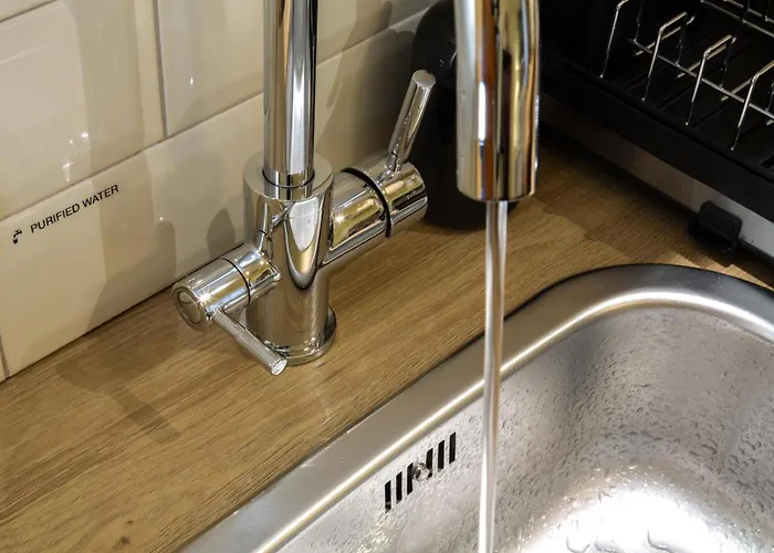 Rainforest Downtown By Pretty *