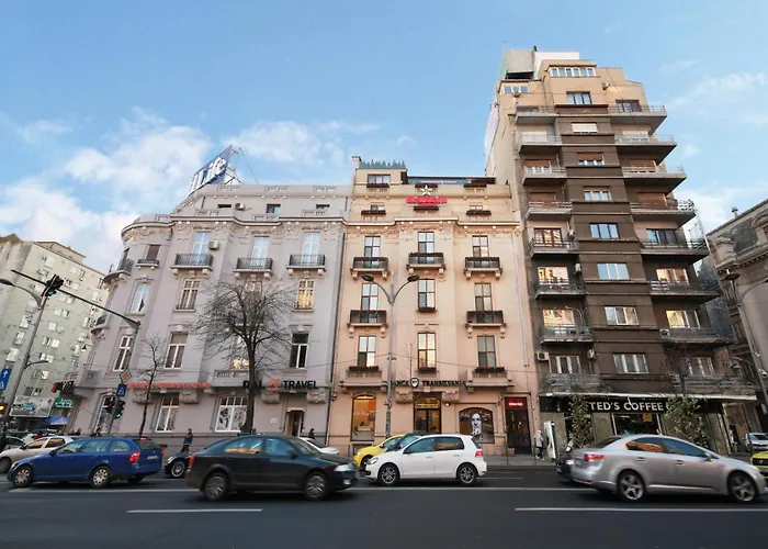 Rainforest Downtown By Pretty