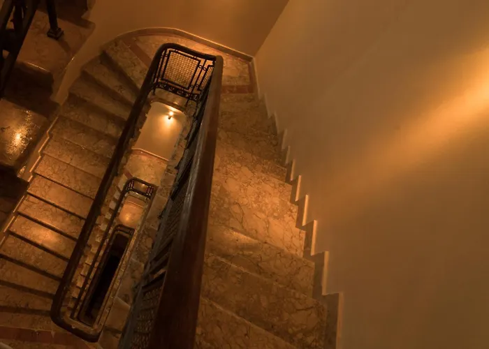 Rainforest Downtown By Pretty * Boekarest